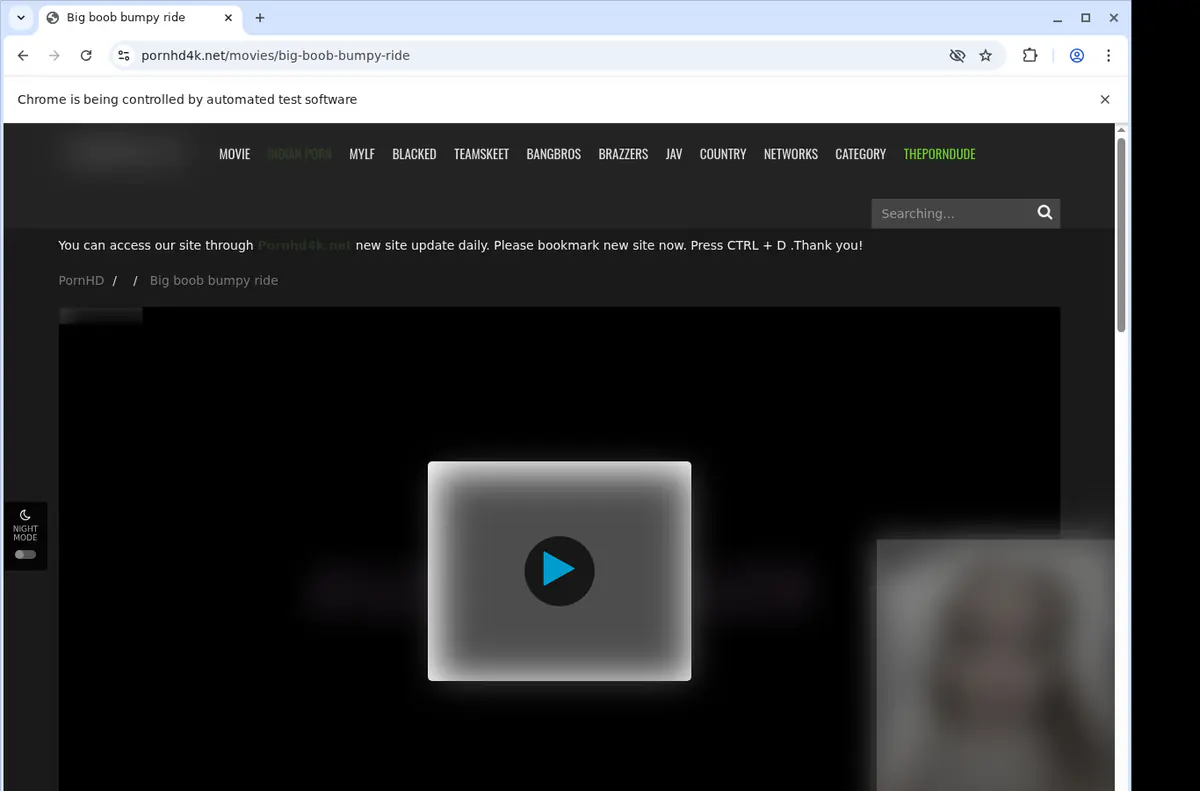 Pornhd 4 K Video Downloader screenshot 2
