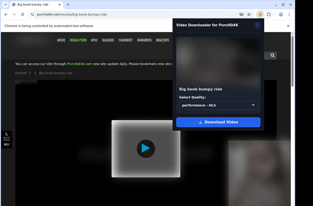 Pornhd 4 K Video Downloader screenshot 3